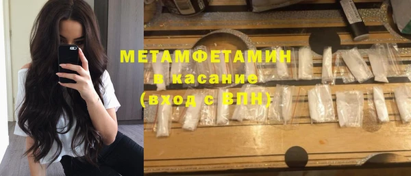 прущие грибы Зерноград
