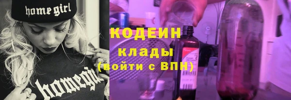мдпв Инта