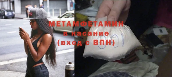 прущие грибы Зерноград