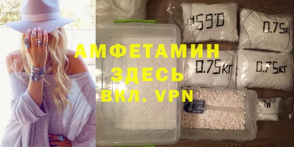 мдпв Инта