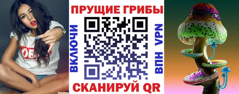 Псилоцибиновые грибы Psilocybe  Судак 
